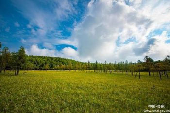 会东资讯|燕麦酒是会东地区数百年来的酿造习俗与传插图8 会东资讯|燕麦酒是会东地区数百年来的酿造习俗与传插图8