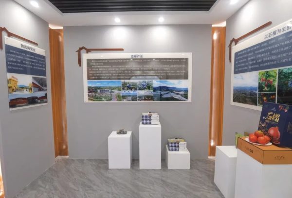 会东旅游|川滇民居风格的房屋—姜州镇乡村振兴展示馆插图9