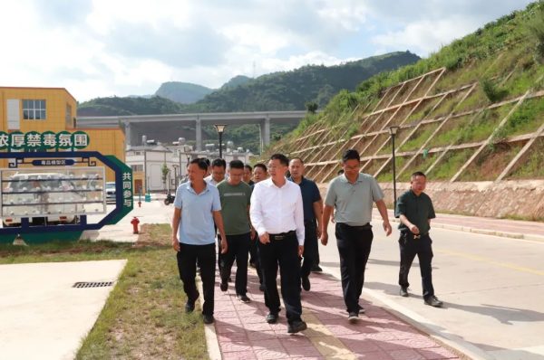 会东资讯，会东县书记环江红到姜州等镇视察！插图2