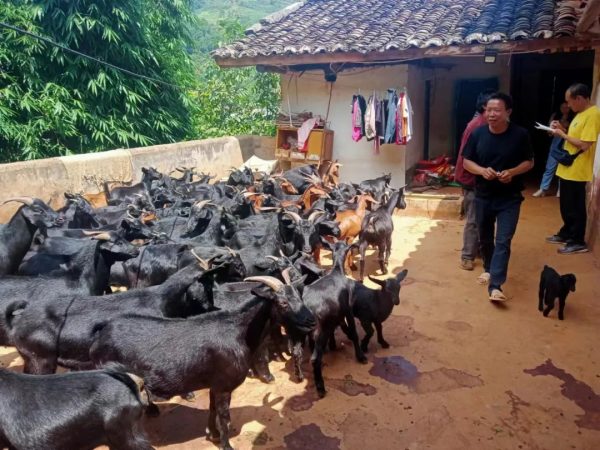 会东资讯|会东江西街乡召开“百日行动”推进会议插图2 会东资讯|会东江西街乡召开“百日行动”推进会议插图2