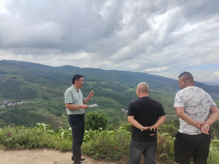 会东资讯|会东县最新动态插图5