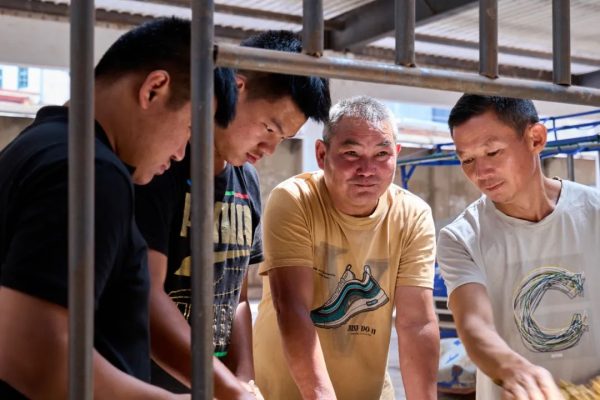 川滇明珠官网|会东县2022年烟叶收购工作正式拉开序幕!插图8 川滇明珠官网|会东县2022年烟叶收购工作正式拉开序幕!插图8