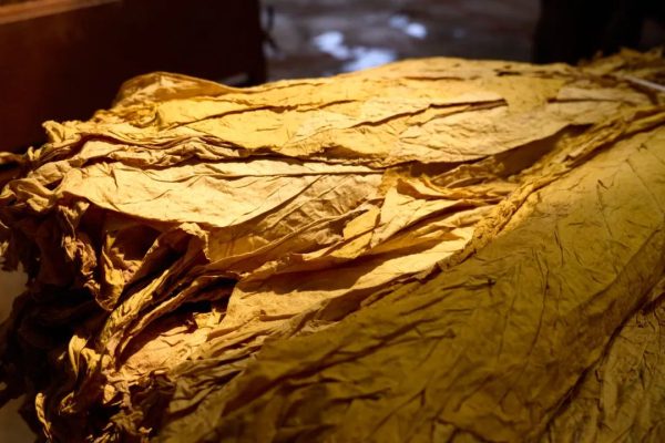 会东门户网|会东县召开西融片区产业园区汇报会-会东网