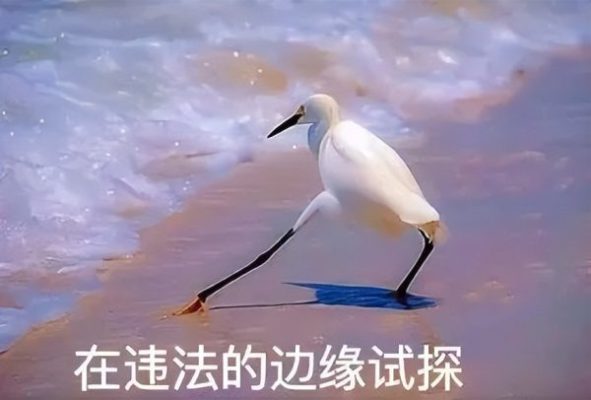 会东交通|会东县连续查获5起无证驾驶行为，有你认识的吗？-会东网