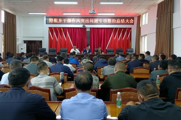 野租乡干部作风突出问题专项整治总结大会召开插图