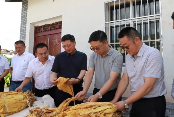 梁辉到会东县新街镇、江西街乡、铅锌镇、姜州镇等地调研插图1