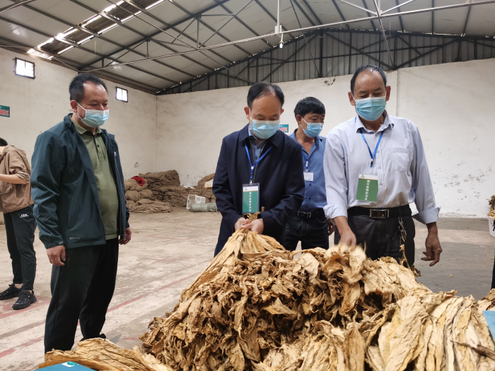 川滇明珠新闻资讯在线,川滇明珠会东快讯插图1 川滇明珠新闻资讯在线,川滇明珠会东快讯插图1