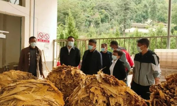 会东最新动态，会东最新新闻资讯插图1