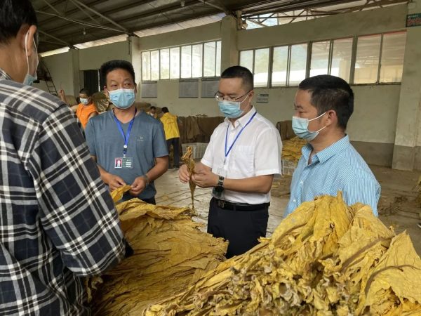 会东最新动态,会东县最新新闻快讯插图3 会东最新动态,会东县最新新闻快讯插图3