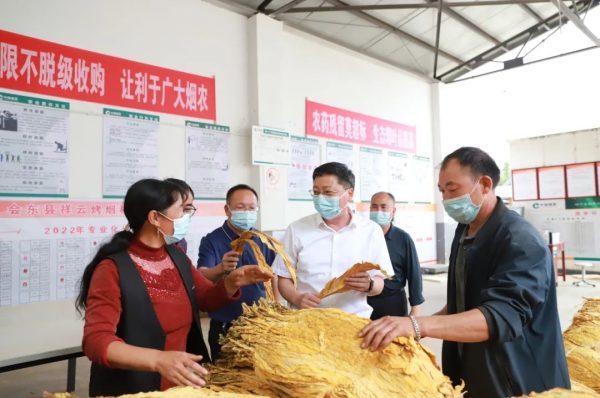 会东县资讯,环江红到堵格镇等地调研烟叶收购工作插图 会东县资讯,环江红到堵格镇等地调研烟叶收购工作插图