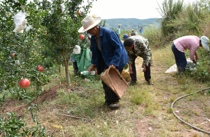 会东县铁柳镇为巩固农村人居环境整治成果插图