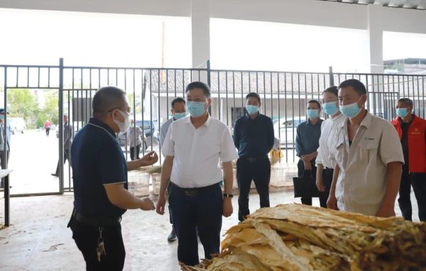 会东县委书记环江红到姜州镇调研督导烟叶收购插图 会东县委书记环江红到姜州镇调研督导烟叶收购插图