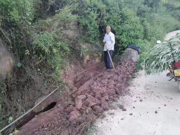 会东县新街镇将农村人居环境整治插图1