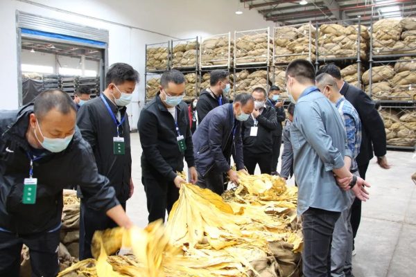 会东县新闻资讯在线插图1