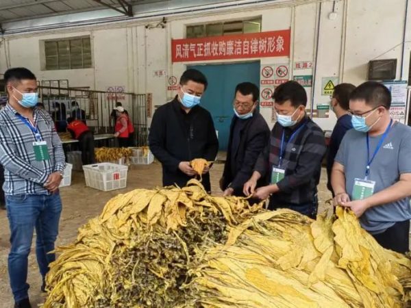 中国会东门户网，会东资讯网在线快讯插图1