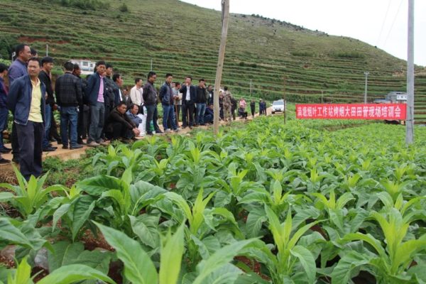 川滇明珠资讯|会东淌塘镇最新动态插图2