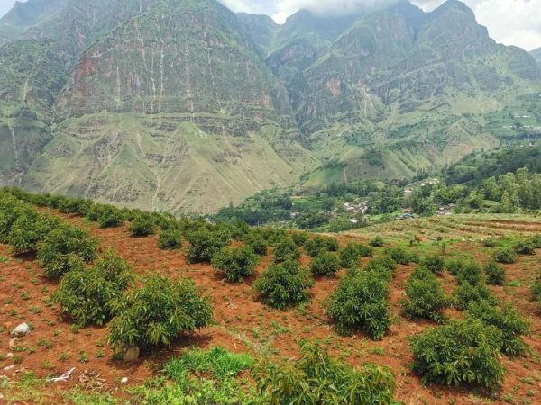 川滇明珠官网资讯|会东县淌塘镇的党委会议室展开插图2 川滇明珠官网资讯|会东县淌塘镇的党委会议室展开插图2