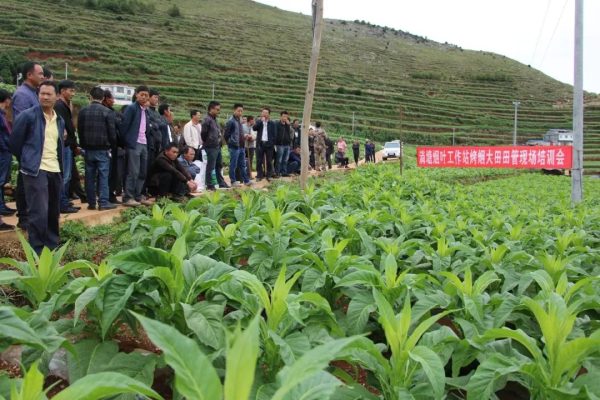川滇明珠官网资讯|会东县淌塘镇的党委会议室展开插图3 川滇明珠官网资讯|会东县淌塘镇的党委会议室展开插图3