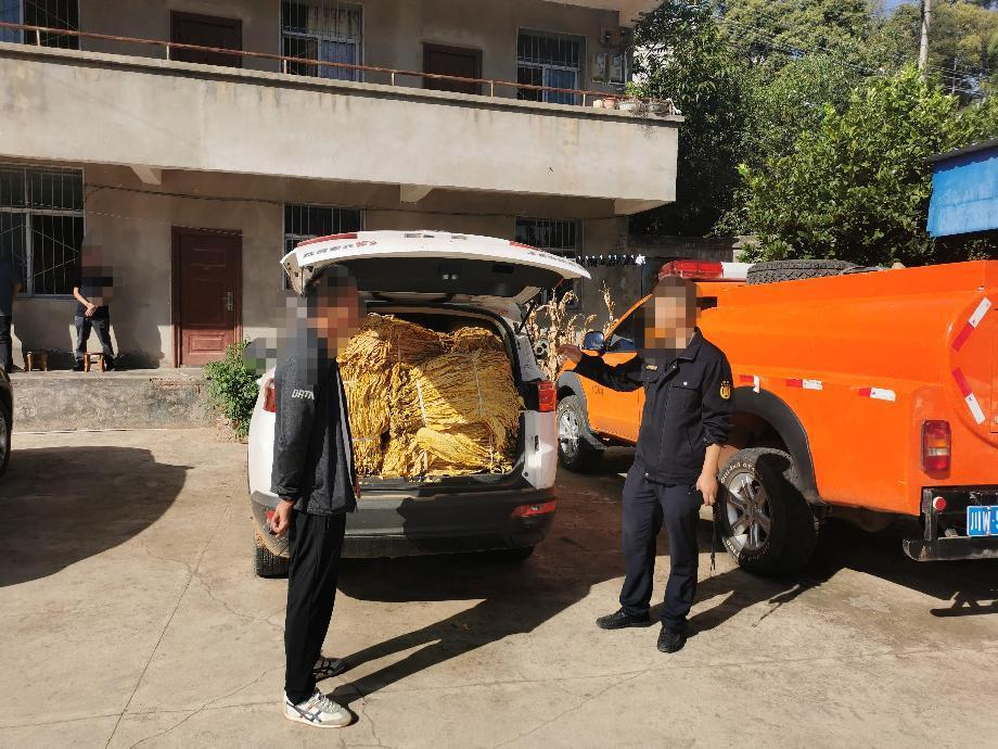 会东县大崇镇防止烟叶外流工作检查插图