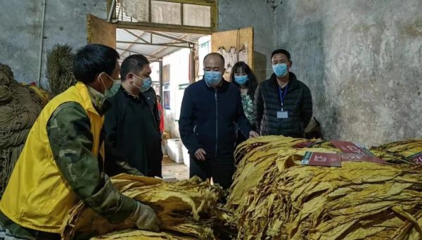 川滇明珠新闻资讯在线,川滇明珠会东快讯插图3 川滇明珠新闻资讯在线,川滇明珠会东快讯插图3