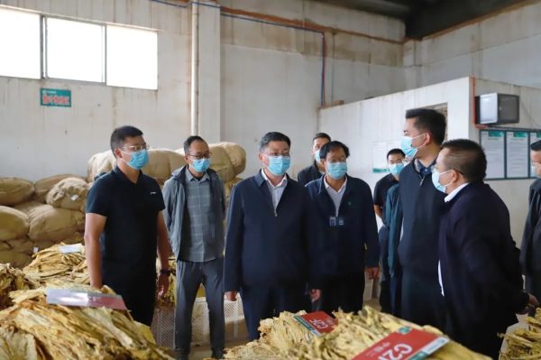 会东网|会东县委书记环江红到嘎吉镇收购调研插图