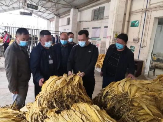 会东县的介绍？会东县城区面积是多少？(四川凉山州包括哪些县)插图1