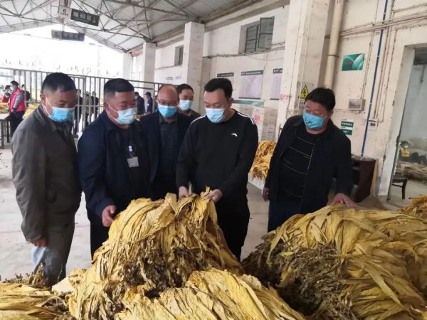 会东网|会东县委书记环江红到嘎吉镇收购调研插图1