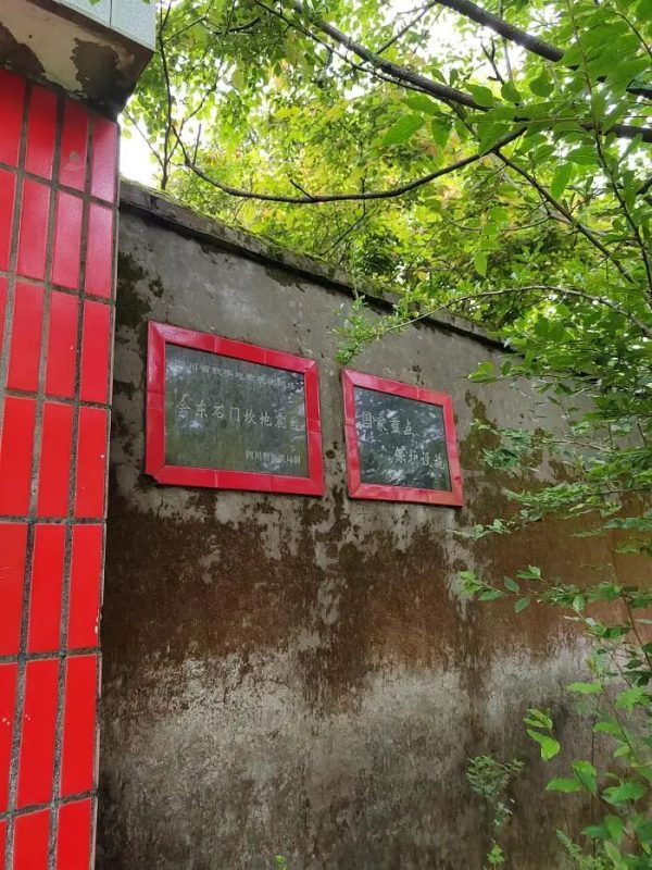 会东网|会东县在经济社会建设中取得重大进步插图1 会东网|会东县在经济社会建设中取得重大进步插图1