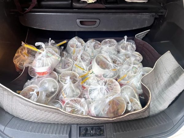 会东县铅锌镇最新消息、会东堵格新闻资讯插图3 会东县铅锌镇最新消息、会东堵格新闻资讯插图3