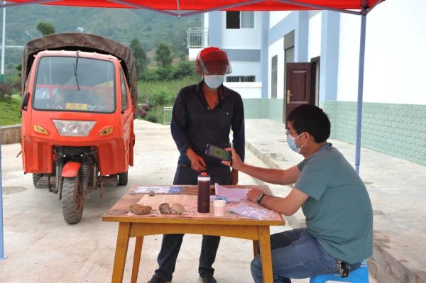 会东县三农|会东县全力做好疫情防控下烟茧收购工作插图1 会东县三农|会东县全力做好疫情防控下烟茧收购工作插图1