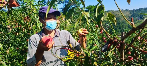 会东县疫情最新消息、会东疫情动态！插图14