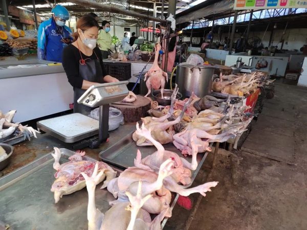 川滇明珠官网、会东官网最新消息插图3