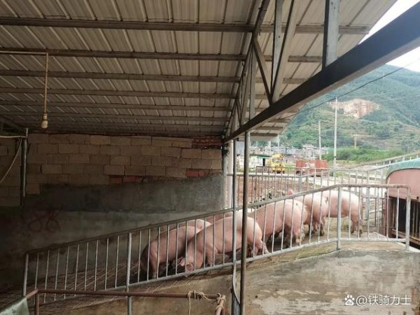 川滇明珠|会东疫情最新消息