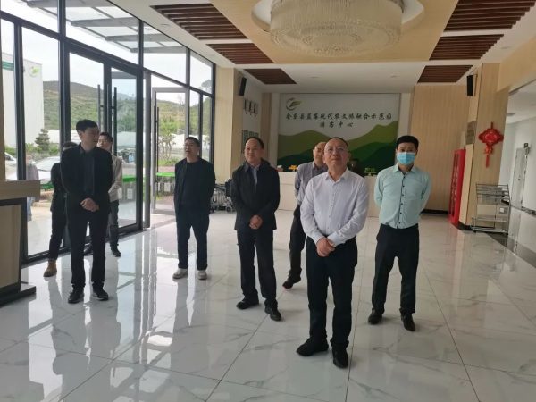 川滇明珠网,川滇明珠动态-会东网