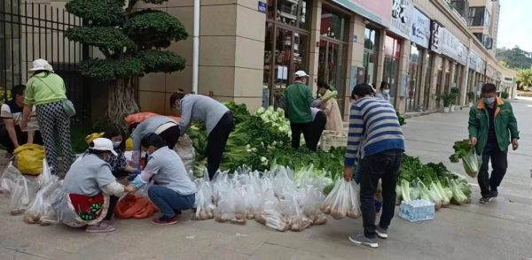 川滇明珠官网|会东最新资讯动态插图4