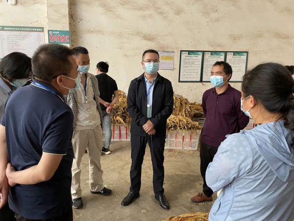 川滇明珠官网|会东最新资讯动态插图1