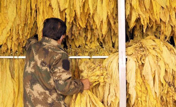 会东资讯网在线，川滇明珠在线插图