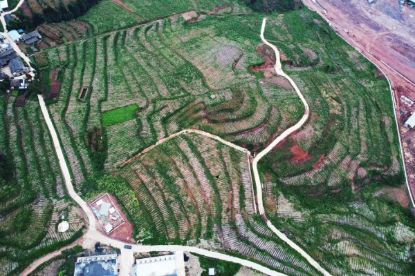 会东资讯网在线，川滇明珠在线插图4