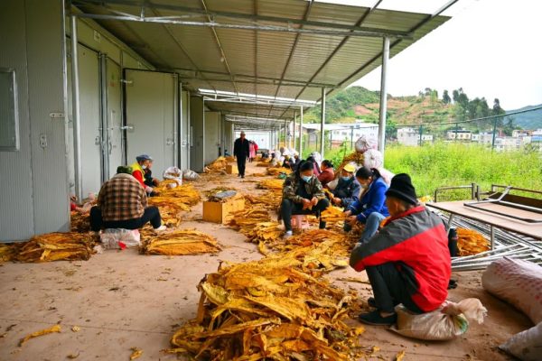会东资讯网在线，川滇明珠在线插图5