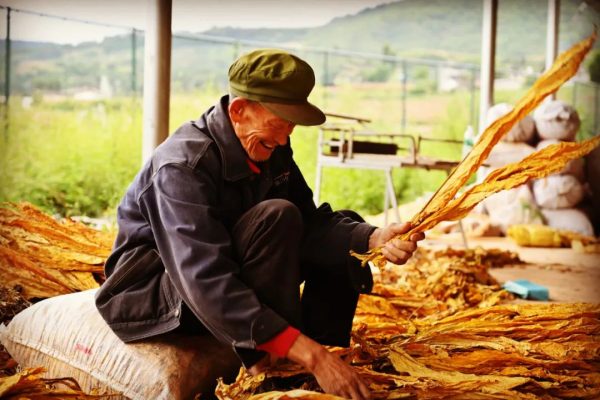 会东资讯网在线，川滇明珠在线插图6