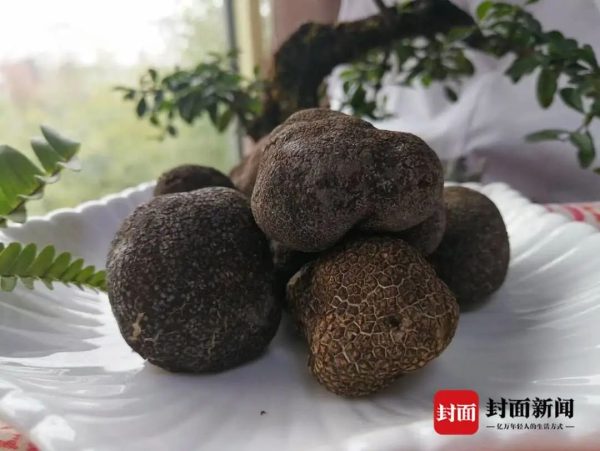 图片[11]-川滇明珠动态，会东会理最新资讯-会东网