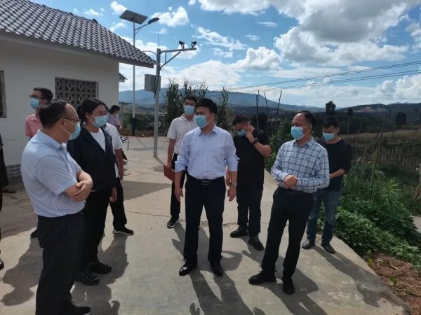 川滇明珠新闻资讯，会东资讯网最新在线插图2