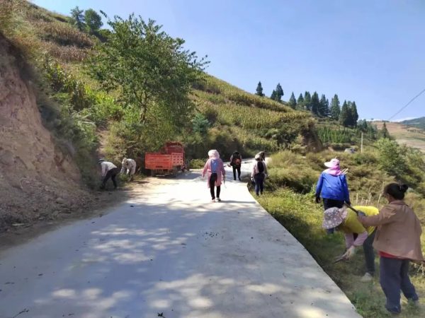 会东网资讯动态，大崇镇开展“五周五缘”可燃物清理插图