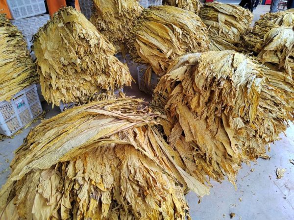 图片[2]-会东县最新消息，四川会东县最新动态，会东烟草专卖局副经理贺连强