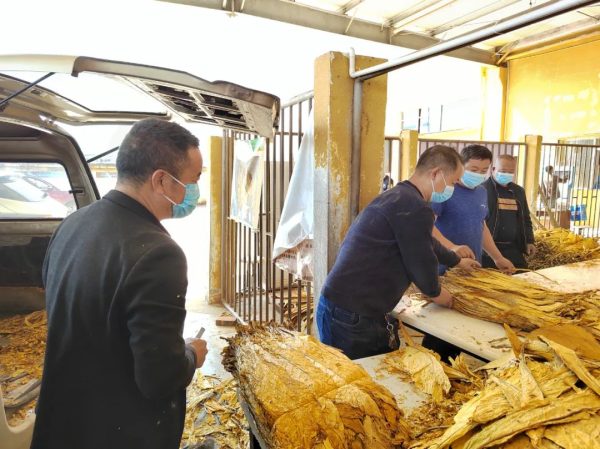 图片[3]-会东县最新消息，四川会东县最新动态，会东烟草专卖局副经理贺连强