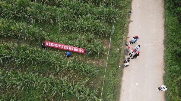 川滇明珠网|会东县新闻资讯动态最新插图2