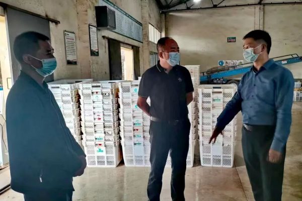 川滇明珠网|会东县新闻资讯动态最新插图