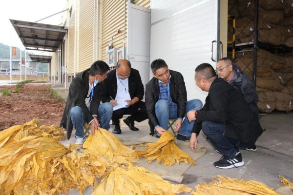 会东网资讯，会东门户网新闻在线插图4