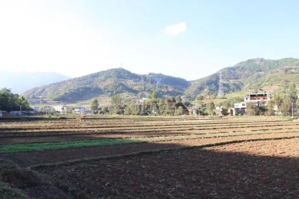 会东铅锌镇资讯动态，铅锌镇油房村插图