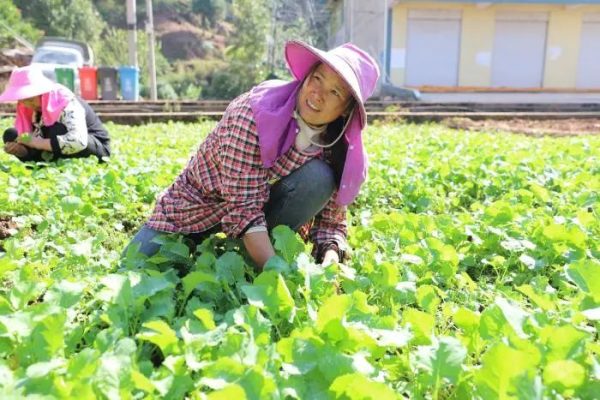 会东铅锌镇资讯动态，铅锌镇油房村插图1